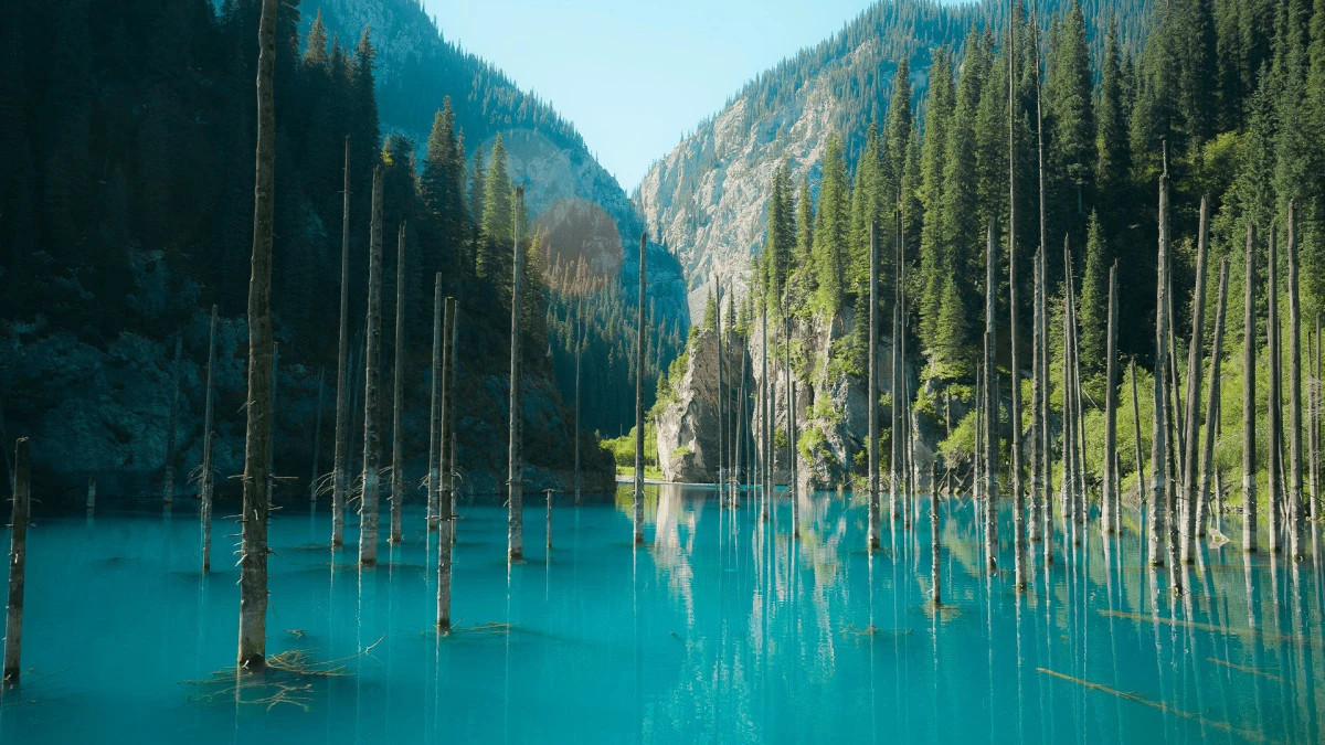  Үкіметтің баспасөз қызметі