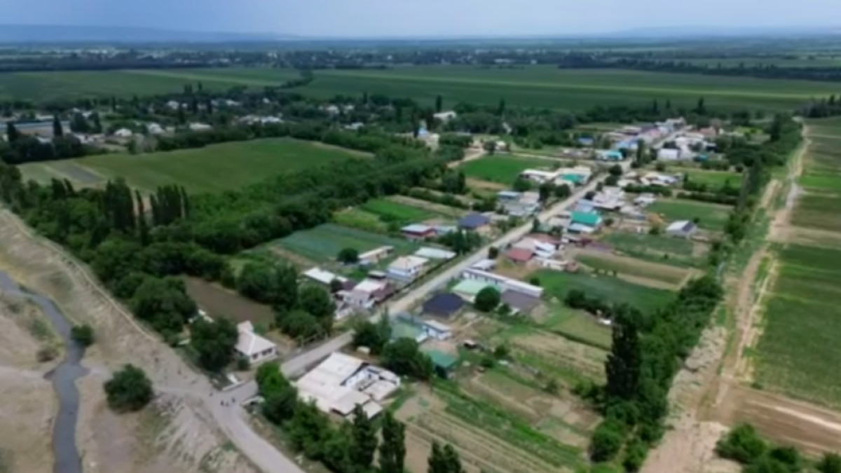  Видеодан кадр
