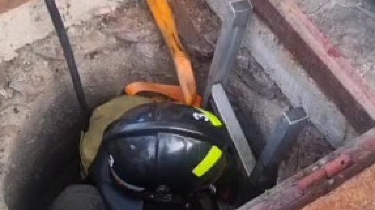  видеодан скриншот