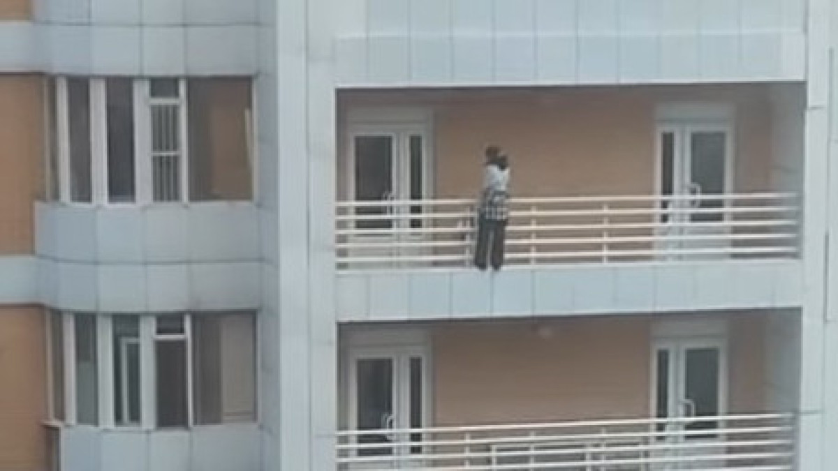  видеодан скриншот