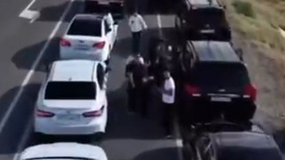  видеодан скриншот