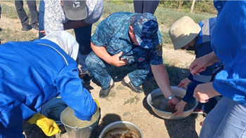 Фотография к новости: Жайық өзеніне 1 миллионнан астам бекіре шабағы жіберілді
