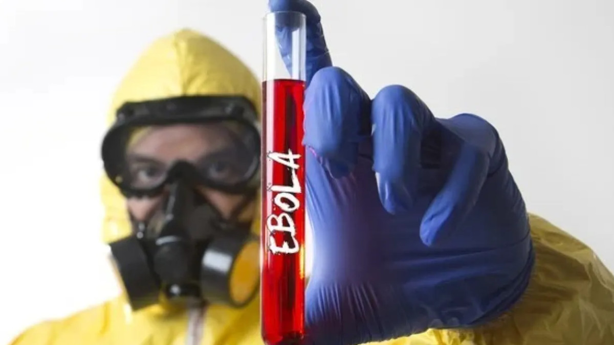  depositphotos.com