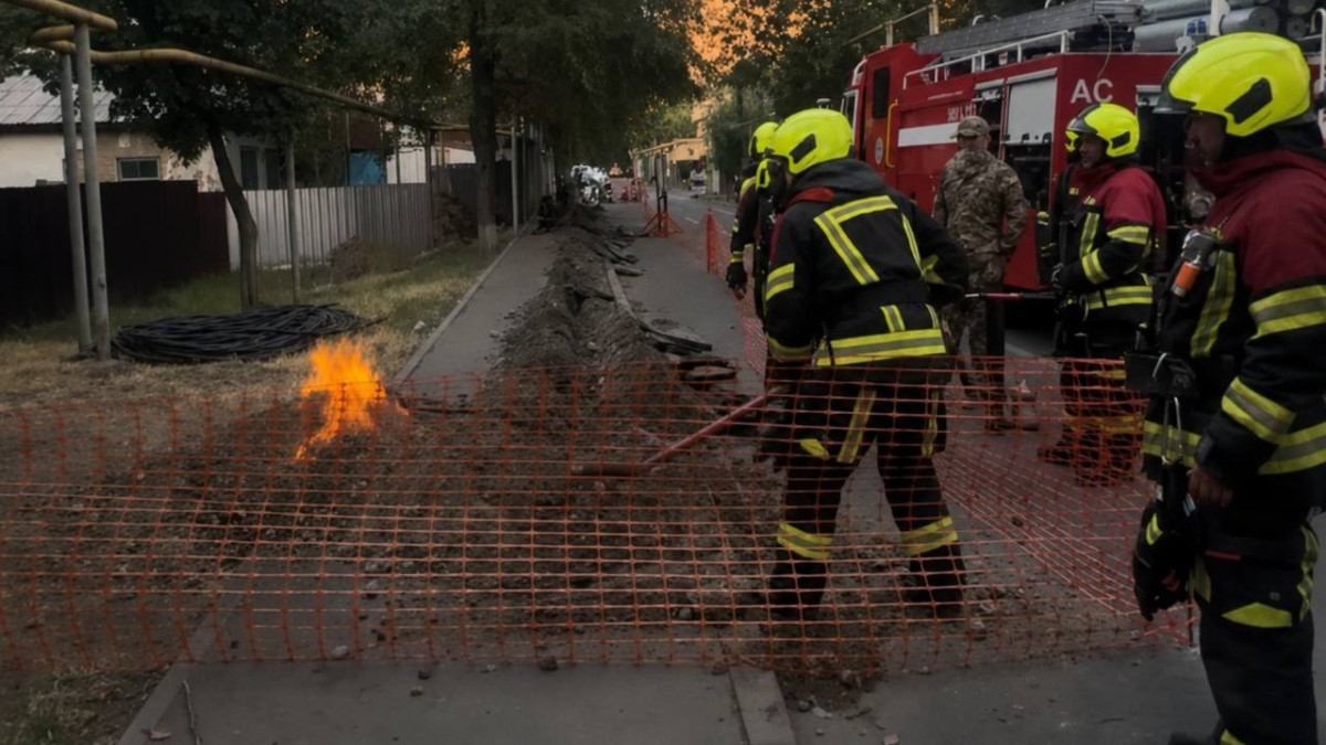  Фото: ПД