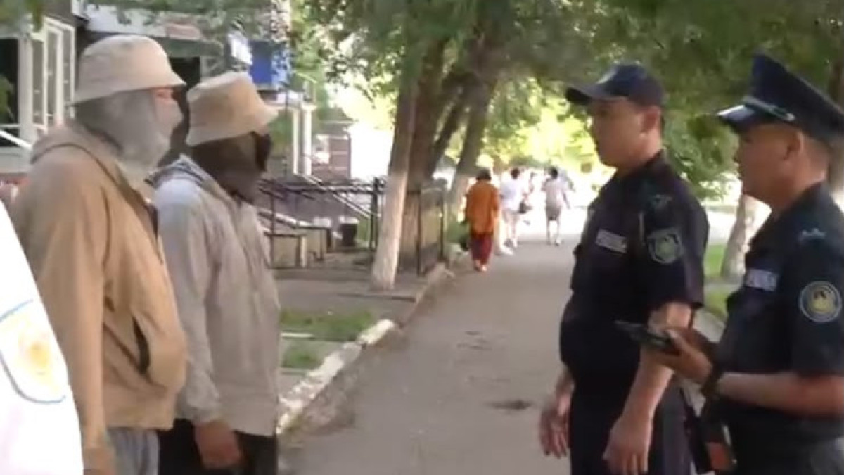  видеодан скриншот