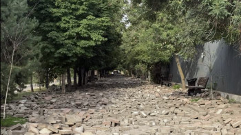 Фотография к новости: Алматыда жаяу жүргіншілерге арналған тас төсемді қопарып тастаған