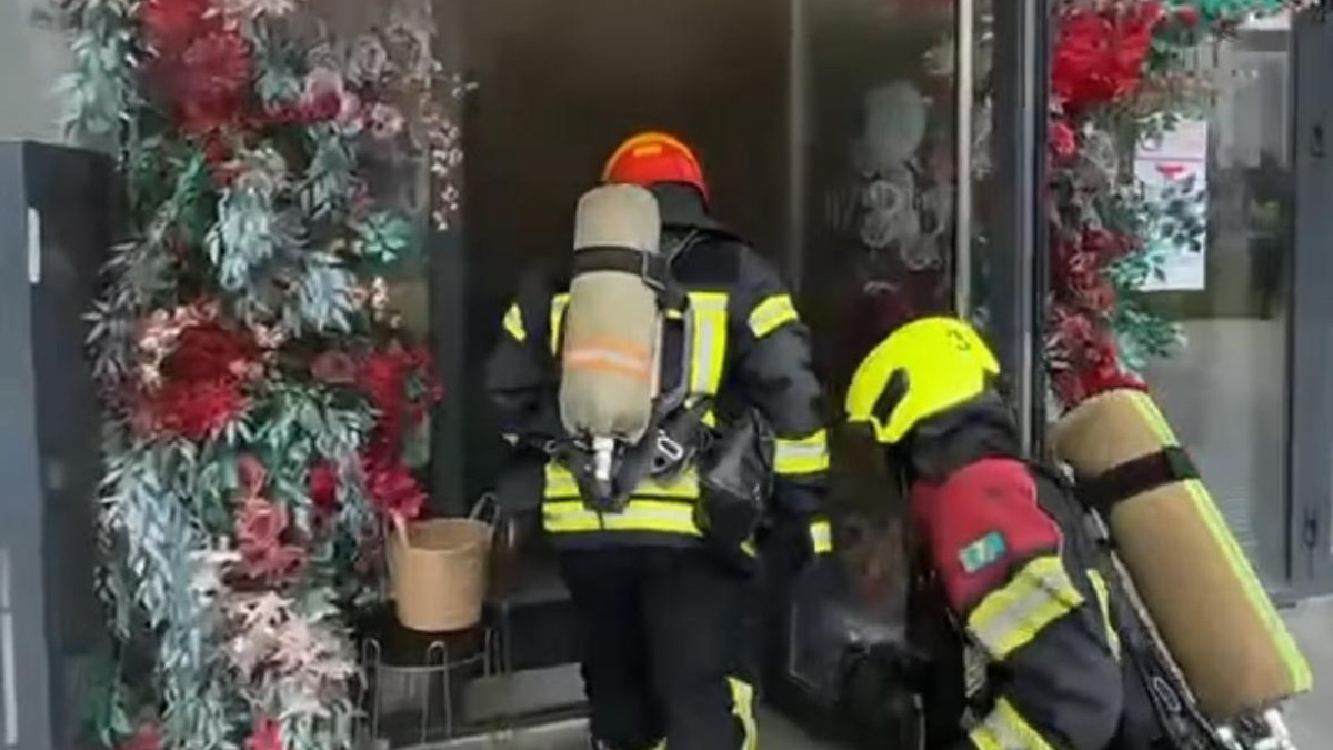  видеодан скриншот