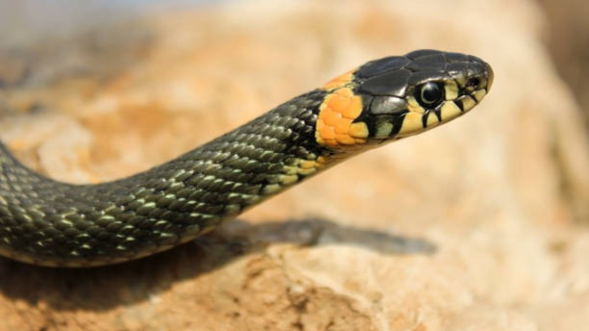  istockphoto.com
