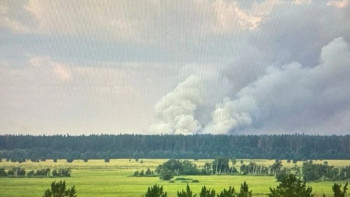 Фотография к новости: Павлодар облысындағы "Ертіс орманы" резерватында өрт шықты