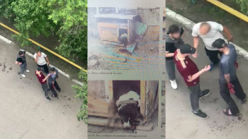 Фотография к новости: Петропавлда ер адам итке қатыгездік көрсетіп, қинап өлтірген