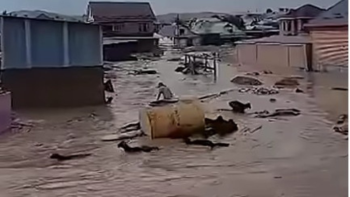  видеодан скриншот