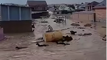Фотография к новости: Қырғызстандағы сел: Тасқын су көліктер мен бір отар қойды ағызып әкетті