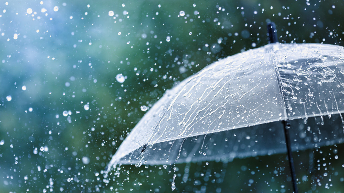  istockphoto.com