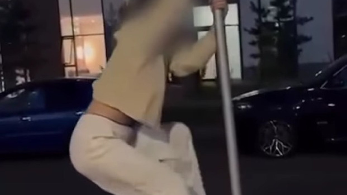  видеодан скриншот