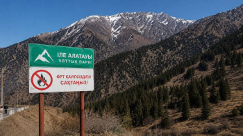 Фотография к новости: Іле-Алатауында өрт қауіпсіздігі күшейеді: Тұрғындарға жаңа талаптар қойыла ма?