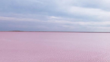 Фотография к новости: Мемлекет басшысы Көбейтұз көлінің жай-күйіне назар аударды