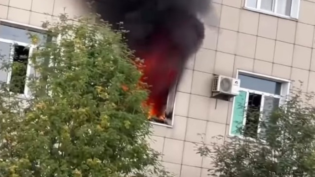 видеодан скриншот