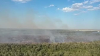 Фотография к новости: Елімізде бір тәулікте орман қорында екі өрт тіркелді