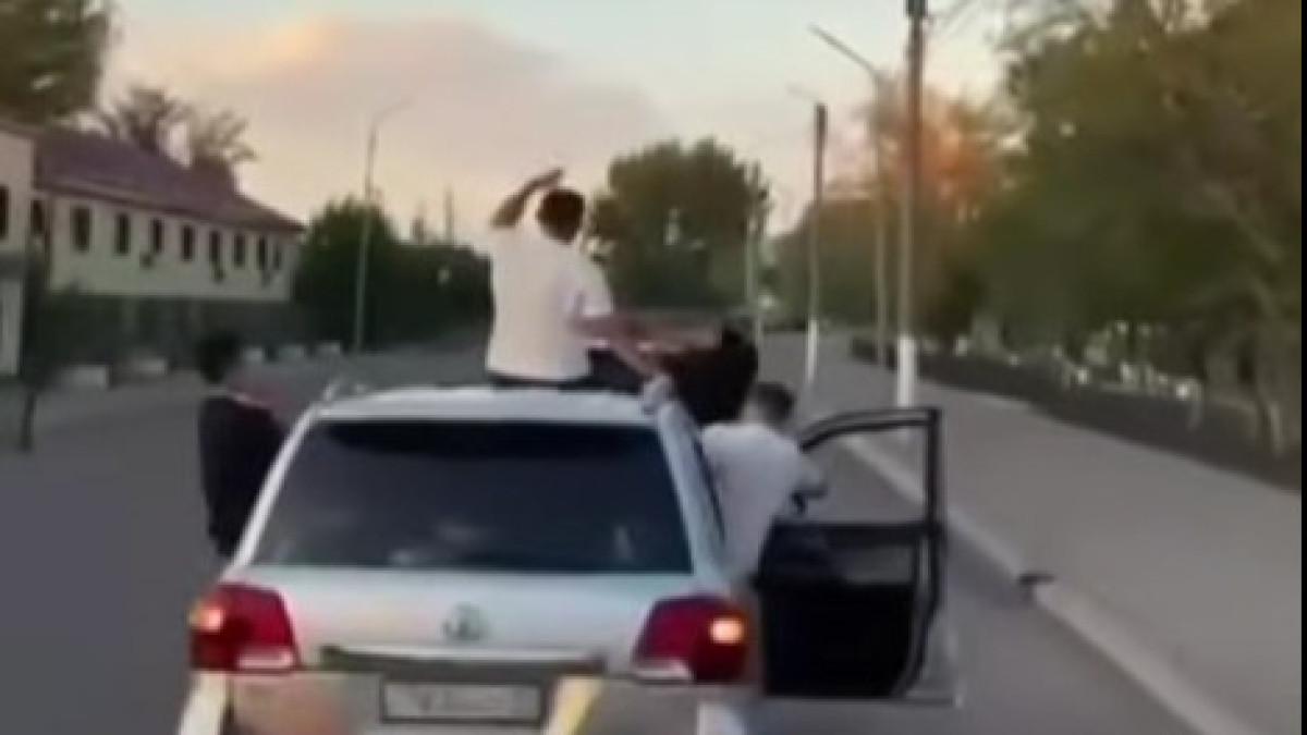  видеодан скриншот