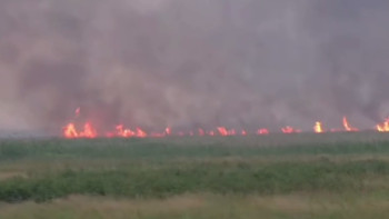 Фотография к новости: Семей орманында 12 күнге созылған өрт толық сөндірілді