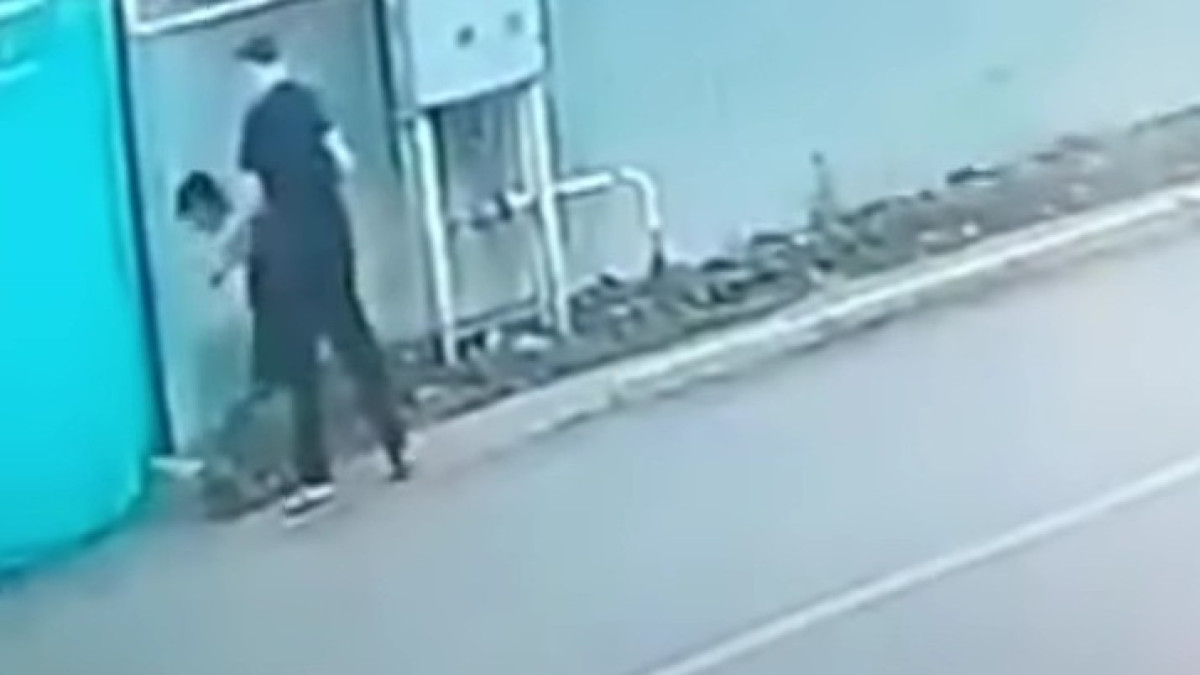  видеодан скриншот