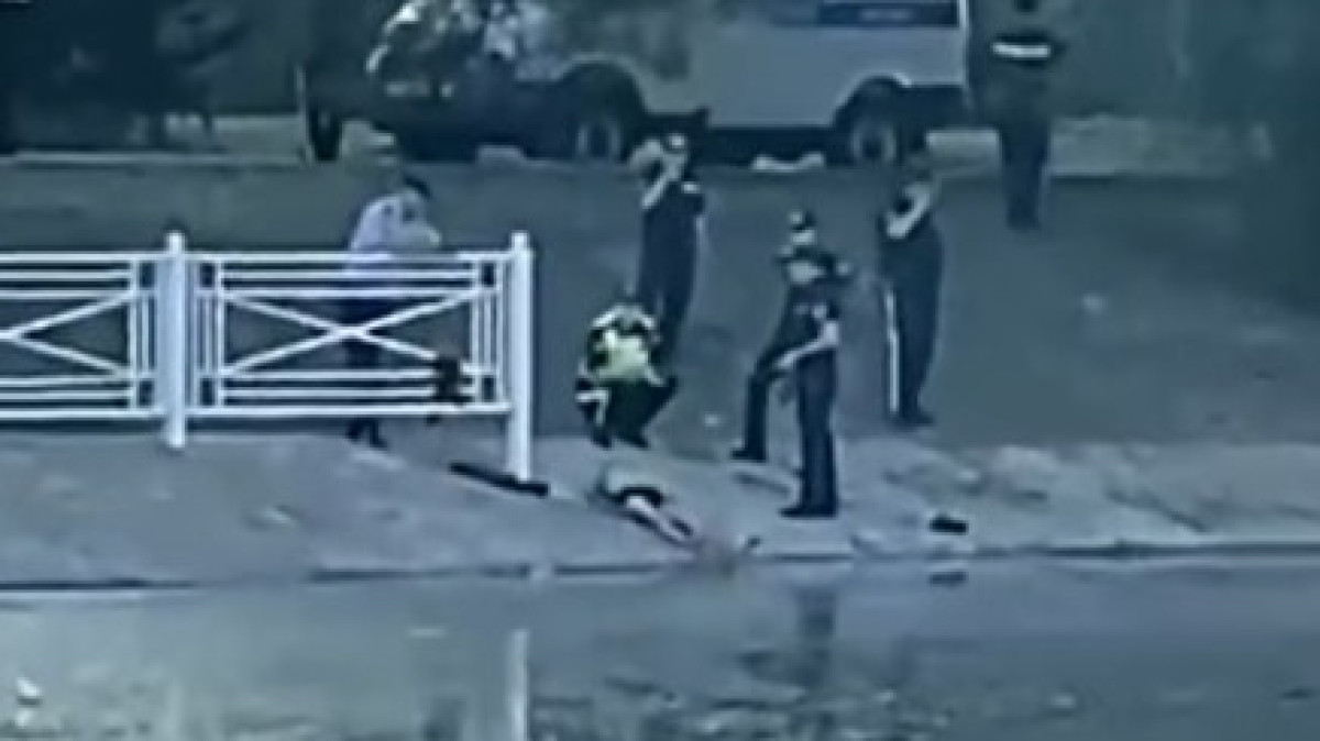  видеодан скриншот