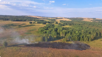 Фотография к новости: Қазақстанда бір тәулікте жеті орман өрті толық сөндірілді