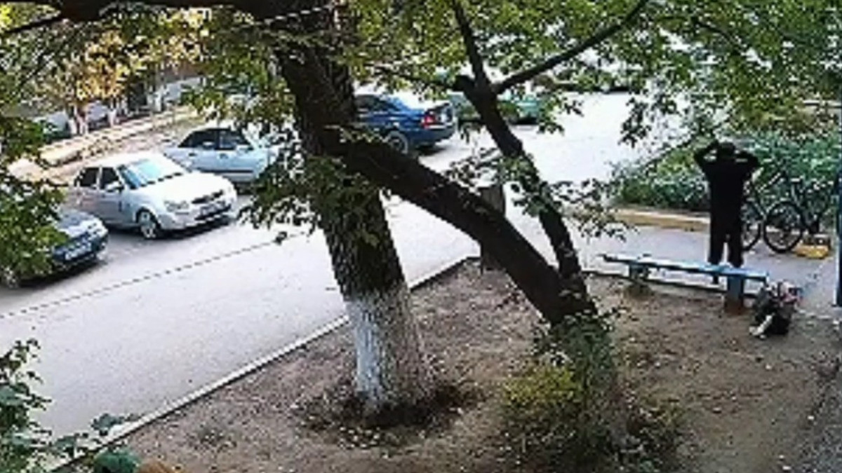  видеодан скриншот
