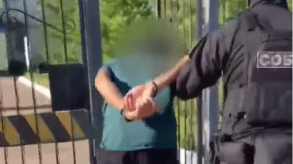  видеодан скриншот