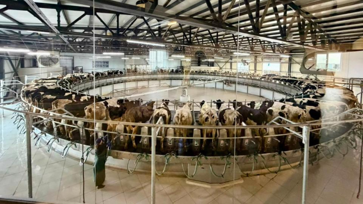  Солтүстік Қазақстан облысының әкімдігі