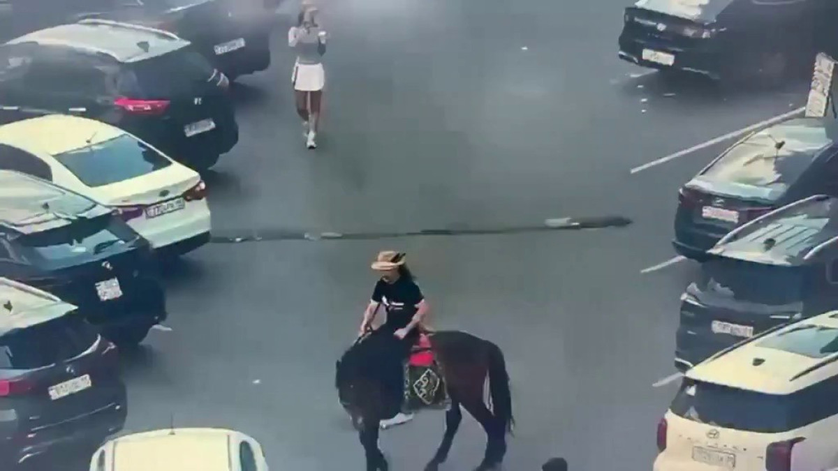  видеодан скриншот