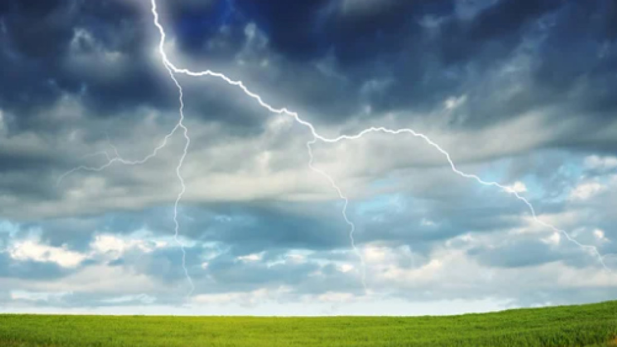  istockphoto.com