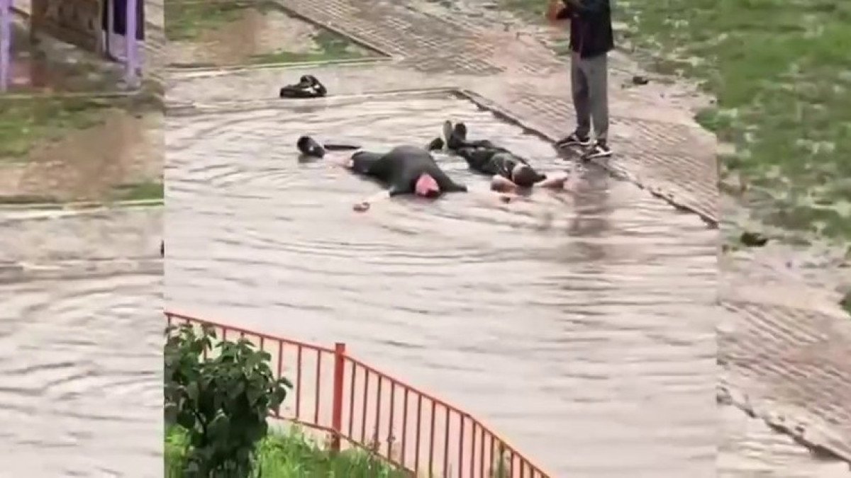  видеодан скриншот