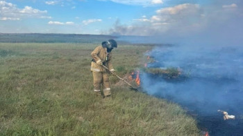 Фотография к новости: Ақмола облысында бір тәулікте 100 гектарға жуық жер өртенді