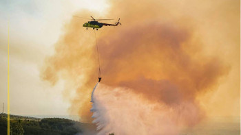Фотография к новости: Бір аптада Қазақстанда 47 орман өрті тіркелді