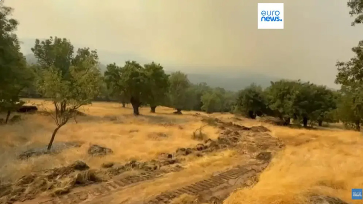  Euronews