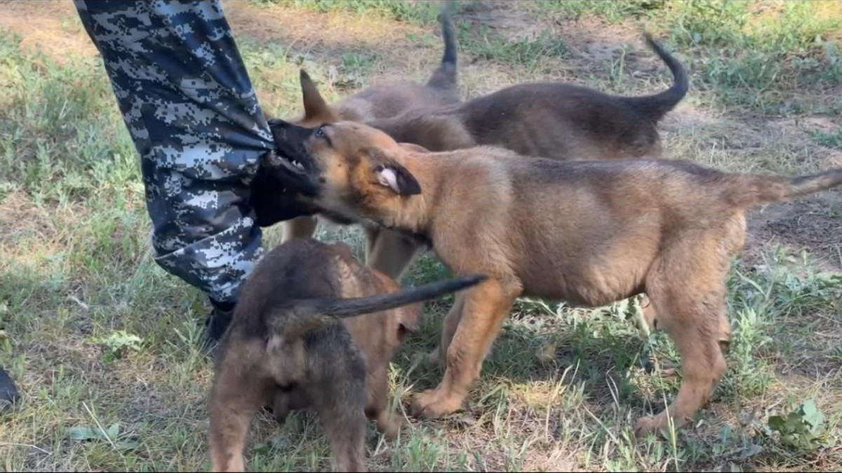  Астана қаласының әкімдігі