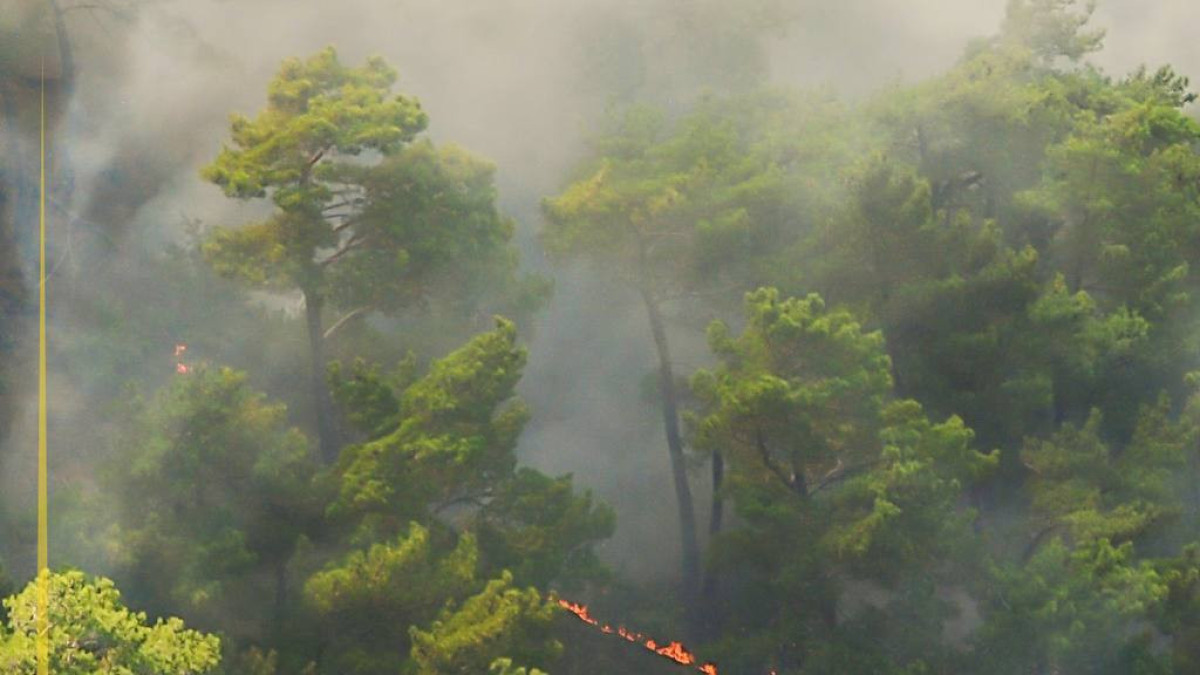  Экология және табиғи ресурстар министрлігі