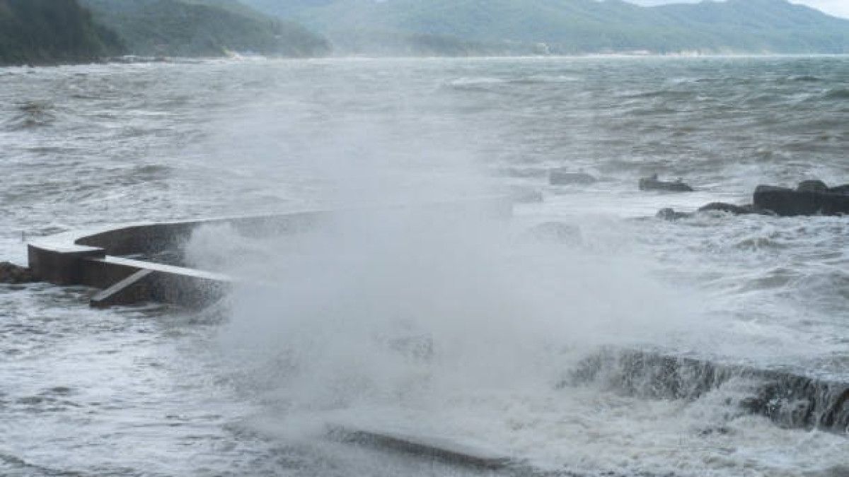  istockphoto.com