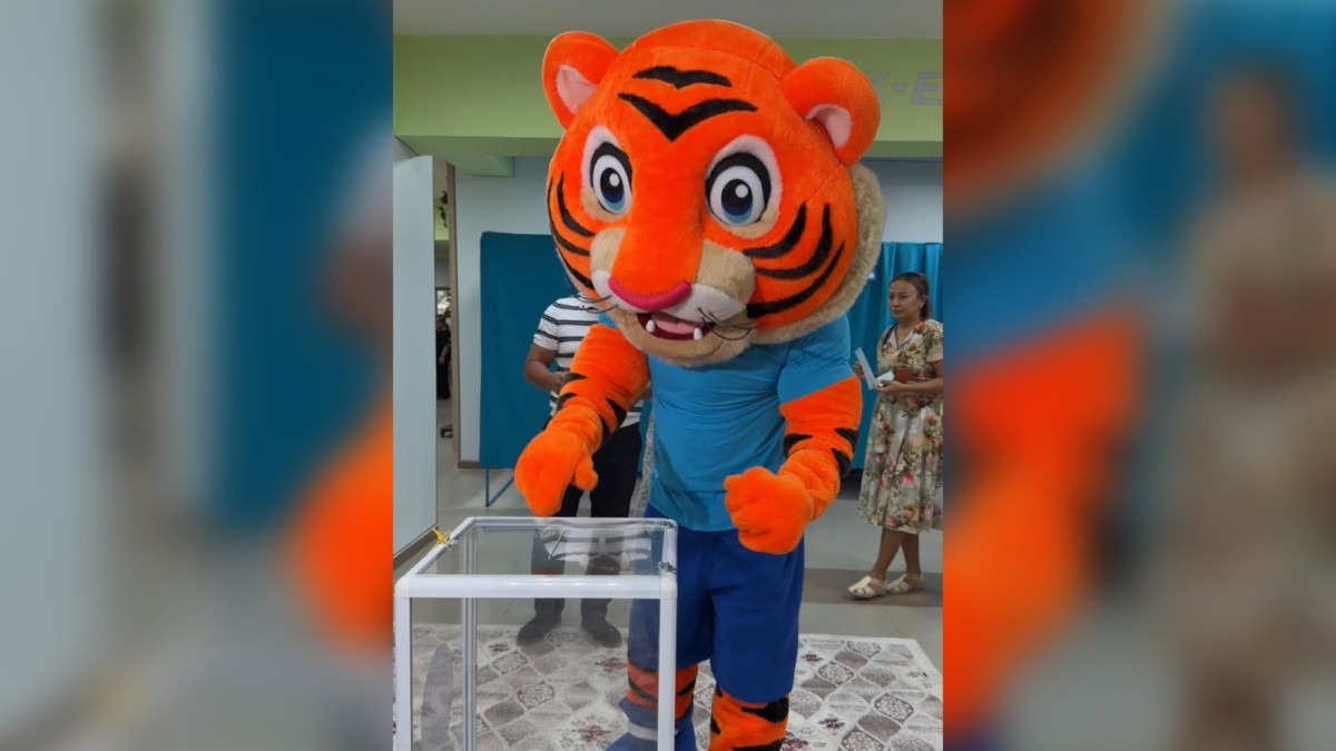  видеодан алынған кадр