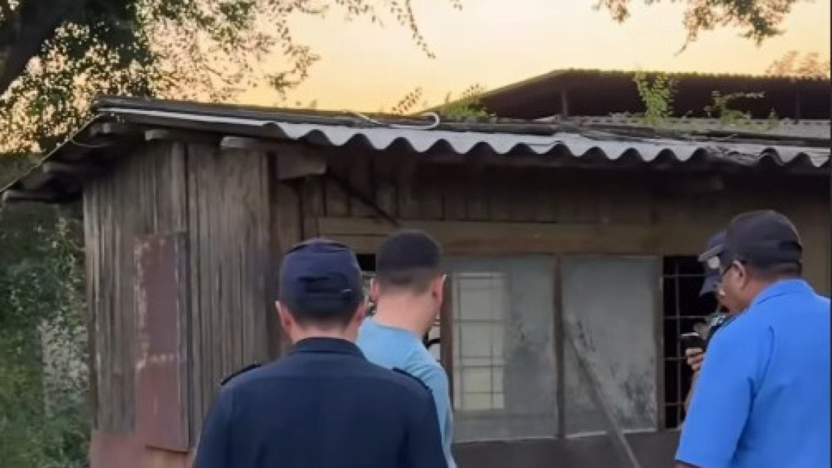  видеодан алынған кадр
