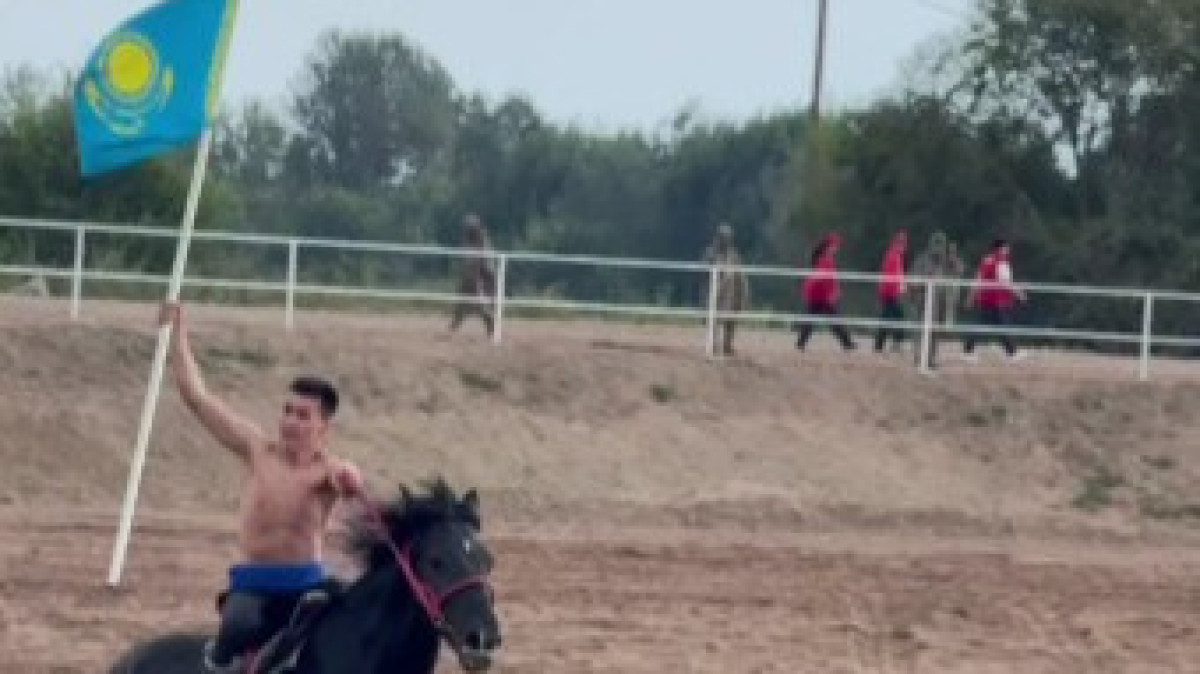  видеодан скриншот