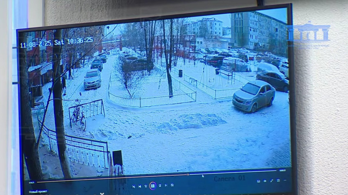  видеодан скриншот