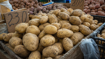 Фотография к новости: Қазақстанда картоп бағасы бір жылда 18%-ға қымбаттады