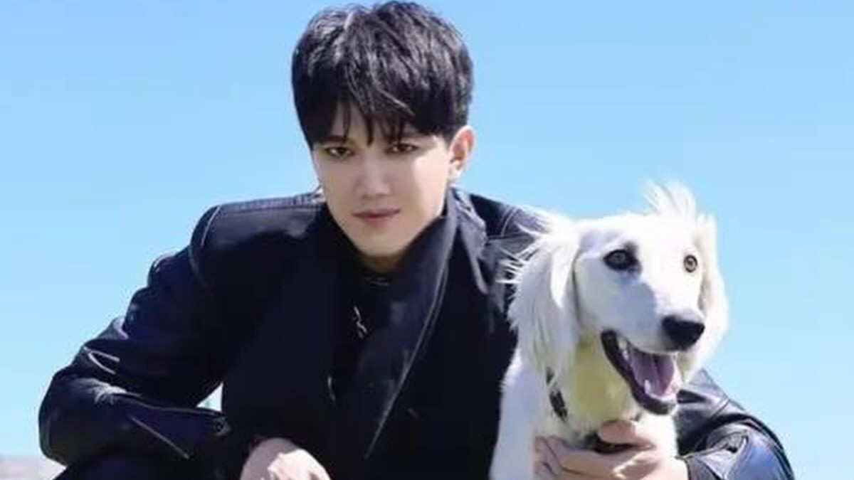  instagram.com/kudaibergenov.dimash