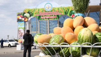 Фотография к новости: Астанада Қызылорда облысының жәрмеңкесі өтеді