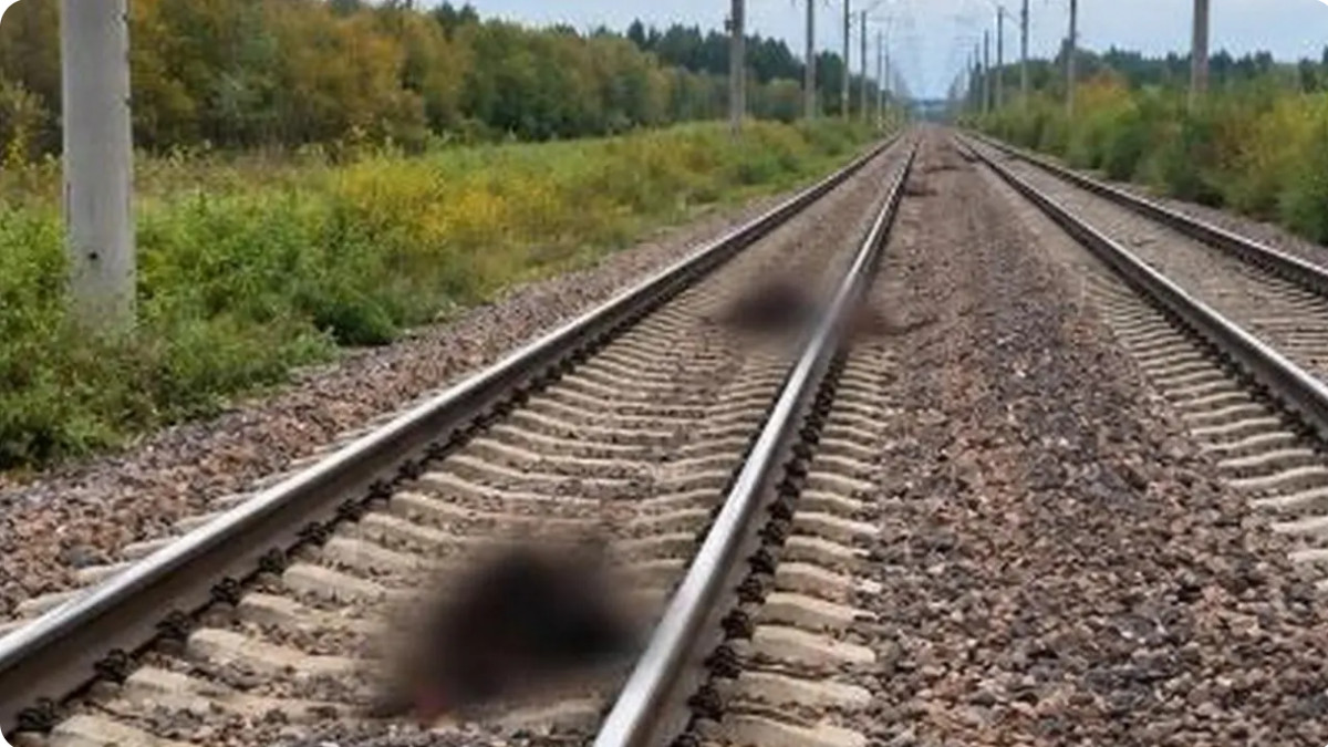  Көліктегі полиция департаменті