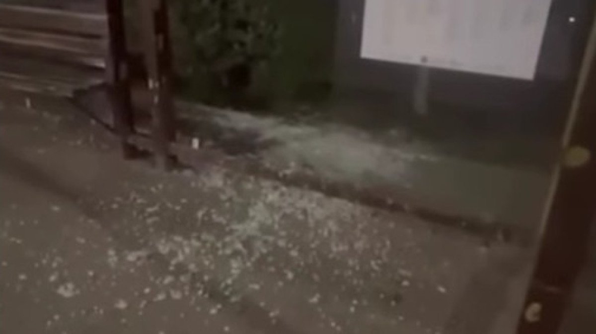  видеодан скриншот