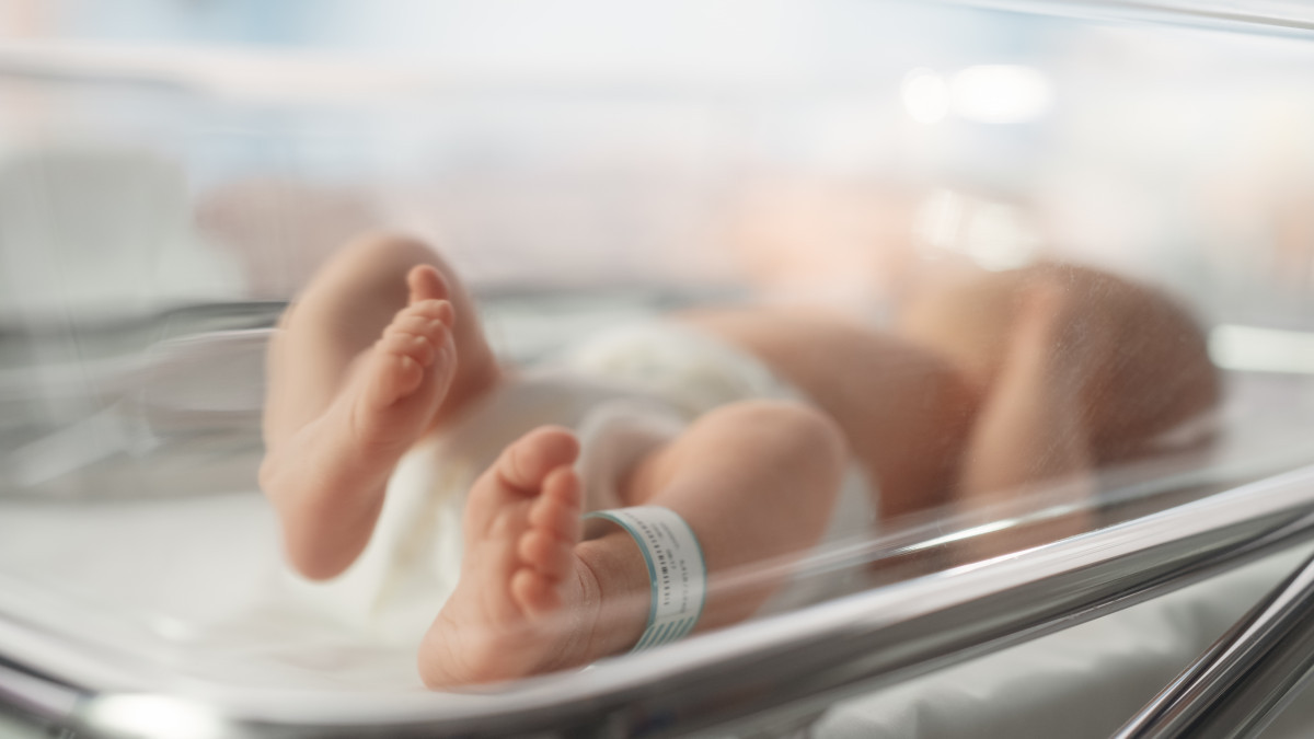  istockphoto.com