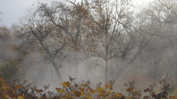 Фотография к новости: Бүгін елімізде ауа райы қандай болады